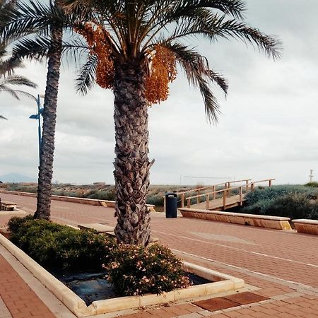 The Beach Across The Street Peníscola Exterior foto